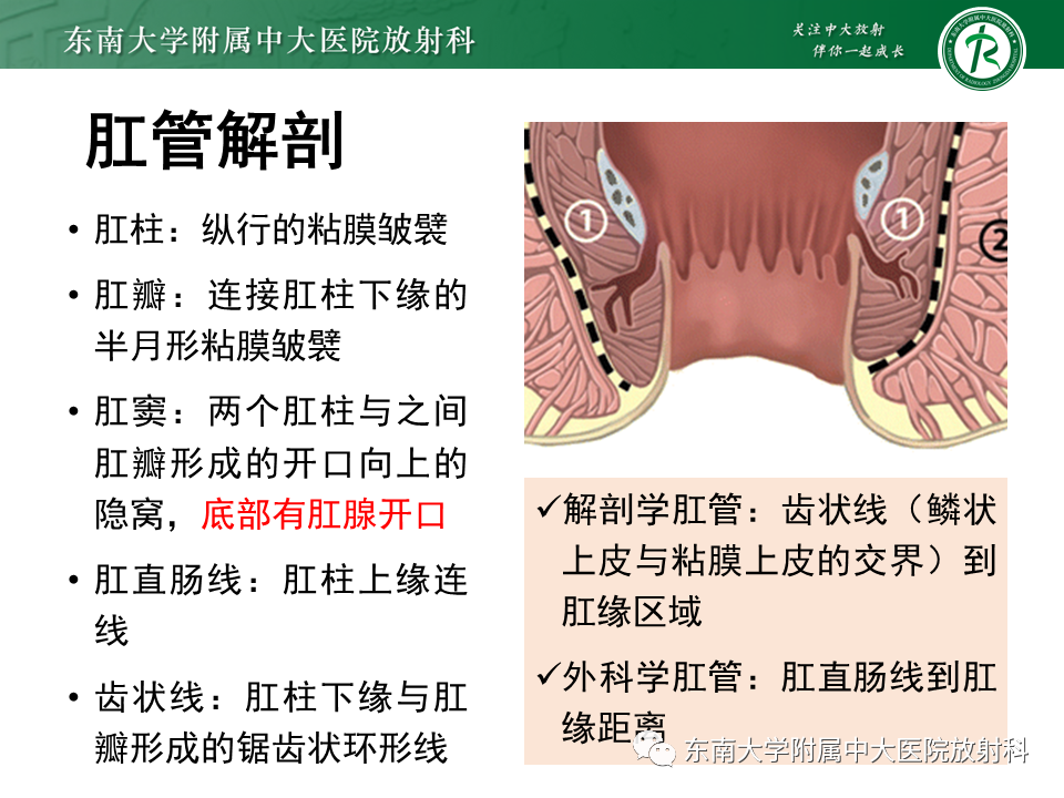 影像PPT - 【PPT】肛瘘的MR诊断-8