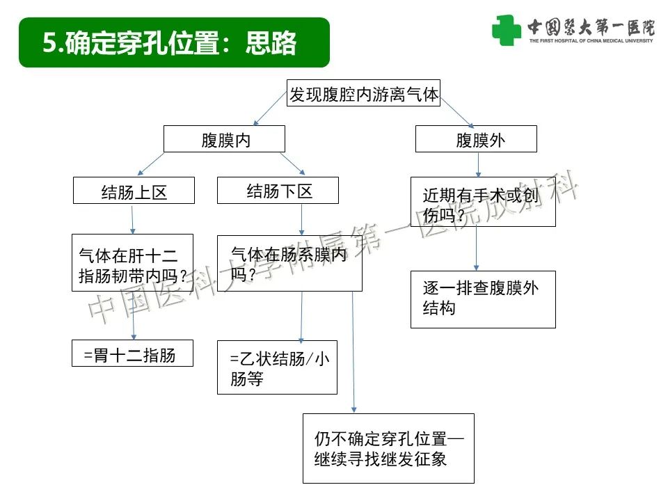 影像PPT - 【PPT】腹腔内游离气体从哪来？如何根据腹膜解剖确定穿孔位置-13