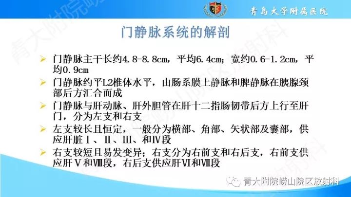 影像PPT - 【PPT】门静脉解剖及变异-2