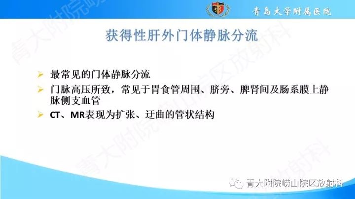 影像PPT - 【PPT】门静脉解剖及变异-18