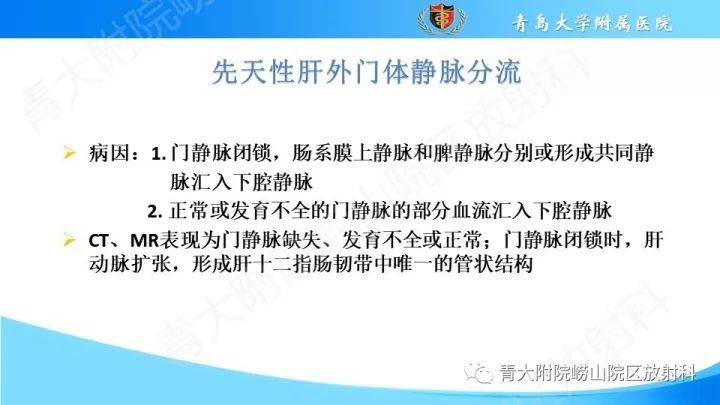 影像PPT - 【PPT】门静脉解剖及变异-16