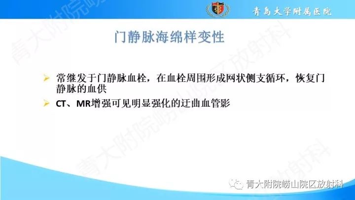 影像PPT - 【PPT】门静脉解剖及变异-24