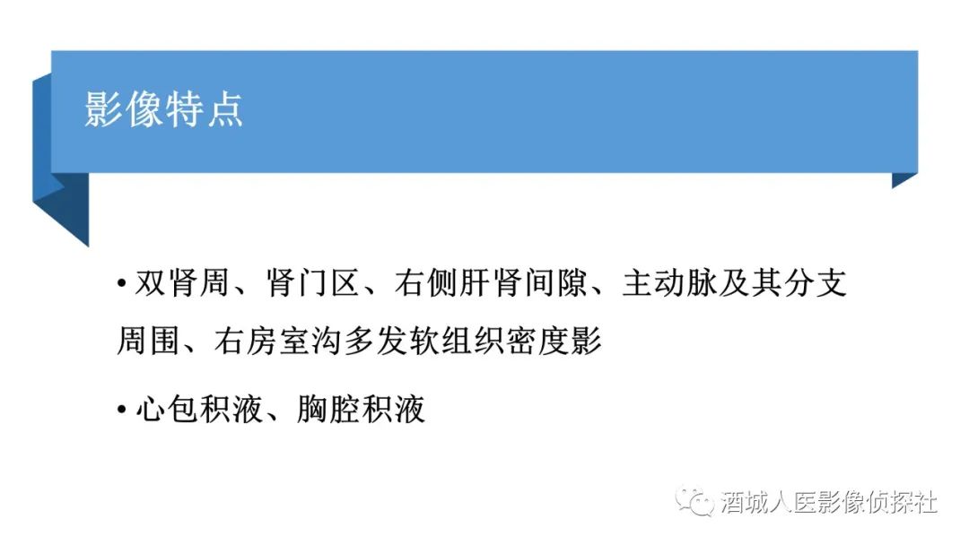 影像PPT - 【PPT】Erdheim-Chester 病（ECD）影像表现-4