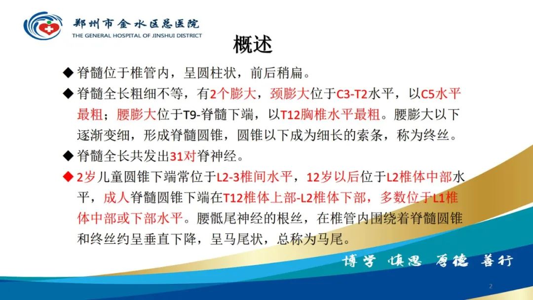 影像PPT - 【PPT】脊髓纵裂及相关疾病影像表现-2