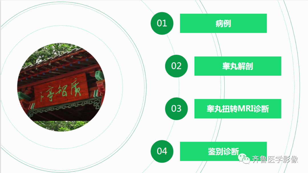 影像PPT - 【PPT】男性生殖系统疾病（睾丸扭转）-2