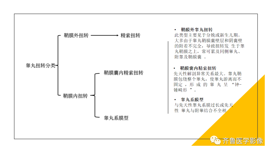 影像PPT - 【PPT】男性生殖系统疾病（睾丸扭转）-15