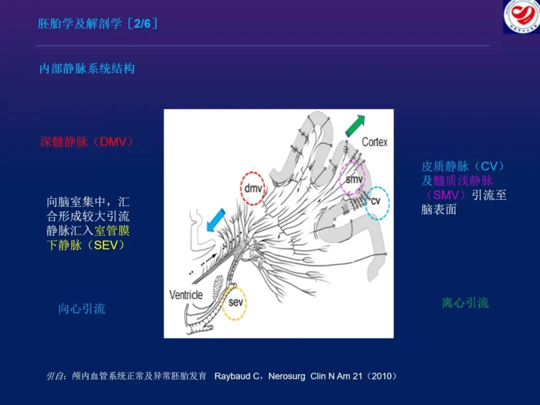 影像PPT - 【PPT】小儿脑静脉影像学：包括硬脑膜静脉窦-4