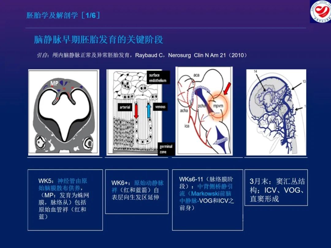 影像PPT - 【PPT】小儿脑静脉影像学：包括硬脑膜静脉窦-3