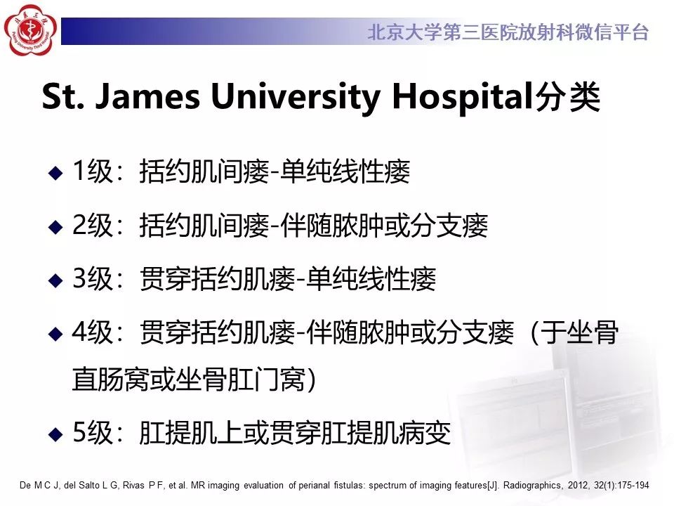 影像PPT - 【PPT】肛瘘-24