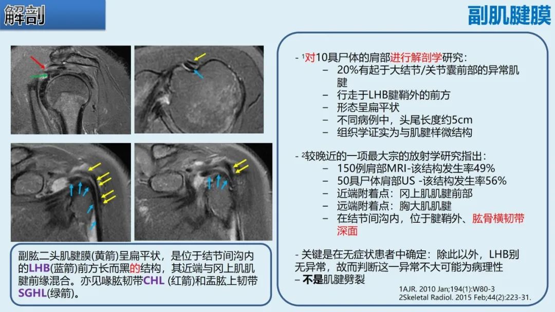 影像PPT - 【PPT】肱二头肌解剖、临床体征及损伤的影像表现-16 影像PPT - 【PPT】肱二头肌解剖、临床体征及损伤的影像表现-16