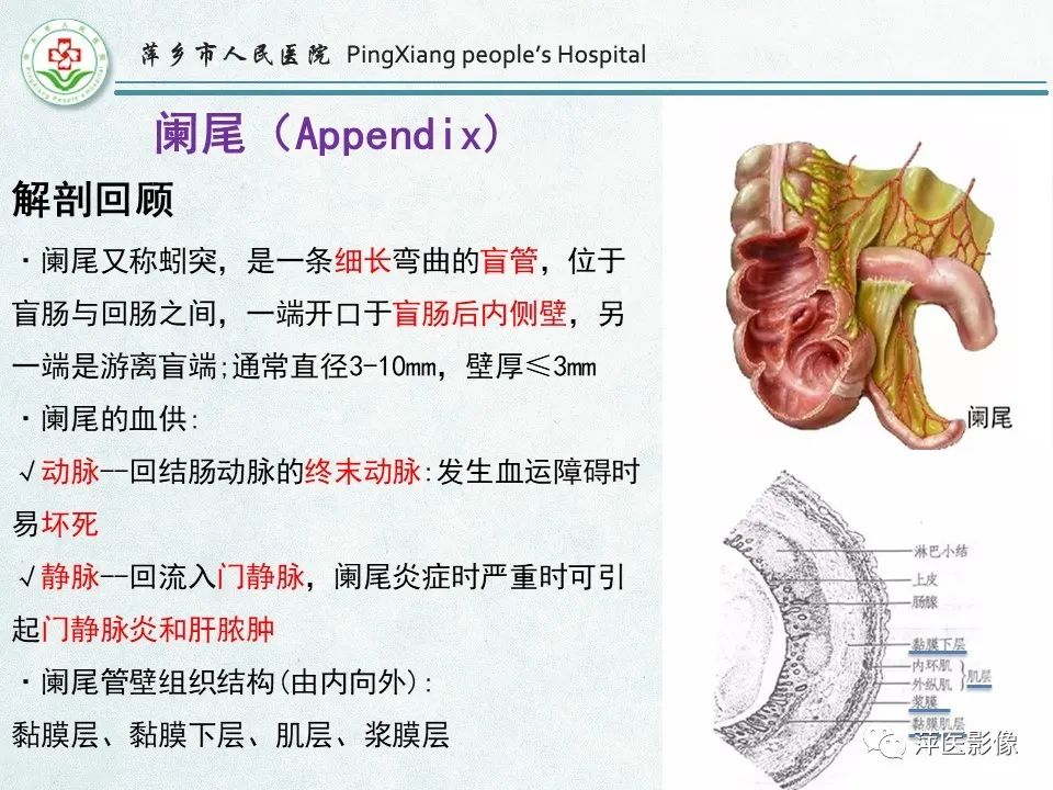 影像PPT - 【PPT】右下腹相关炎性病变-3