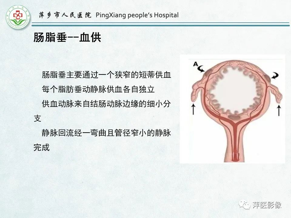 影像PPT - 【PPT】右下腹相关炎性病变-58
