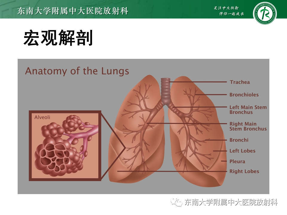 影像PPT - 【PPT】理影外合—肺腺癌疾病谱-8 影像PPT - 【PPT】理影外合—肺腺癌疾病谱-8