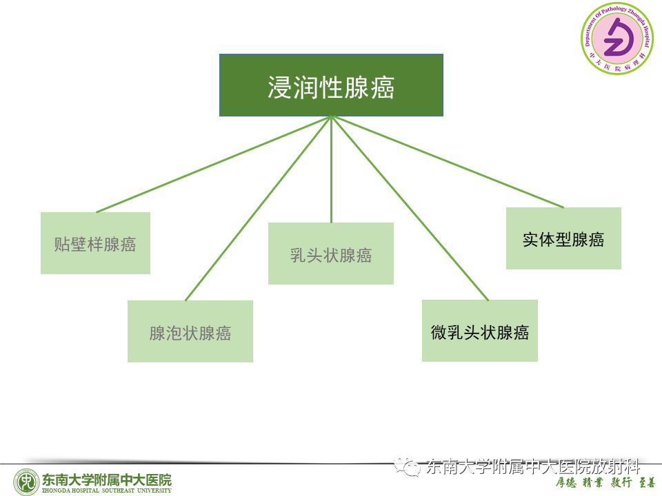 影像PPT - 【PPT】理影外合—肺腺癌疾病谱-41 影像PPT - 【PPT】理影外合—肺腺癌疾病谱-41