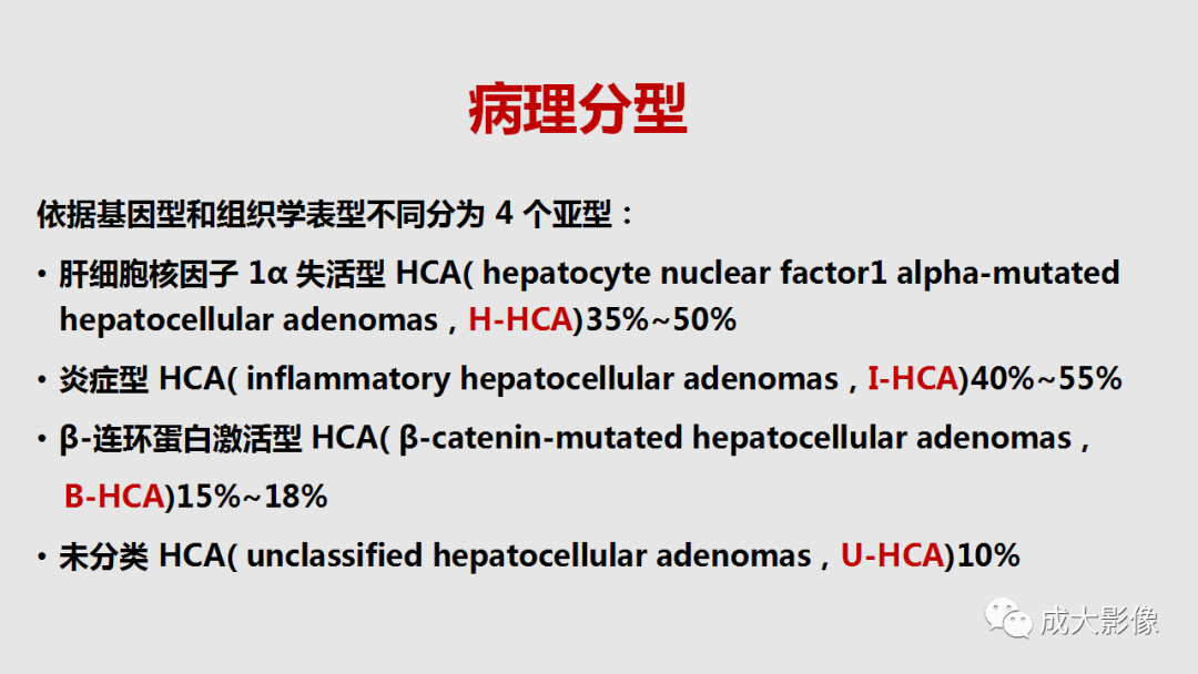 影像PPT - 【PPT】肝腺瘤影像诊断-3