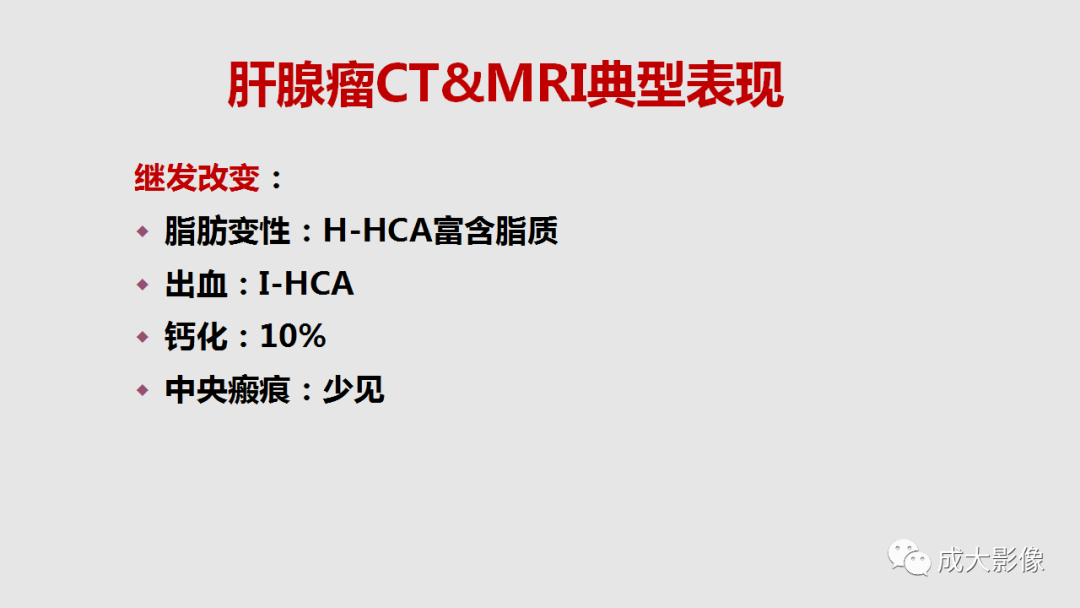 影像PPT - 【PPT】肝腺瘤影像诊断-10