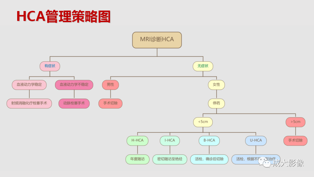影像PPT - 【PPT】肝腺瘤影像诊断-40