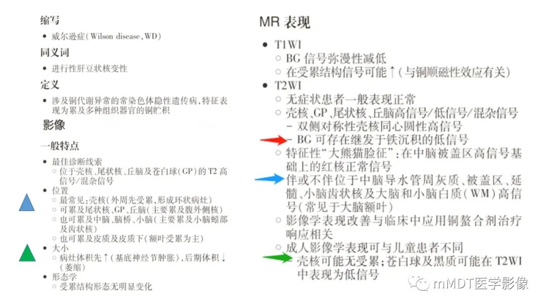 影像PPT - 【PPT】肝豆—熊猫征分析及综述-49 影像PPT - 【PPT】肝豆—熊猫征分析及综述-49