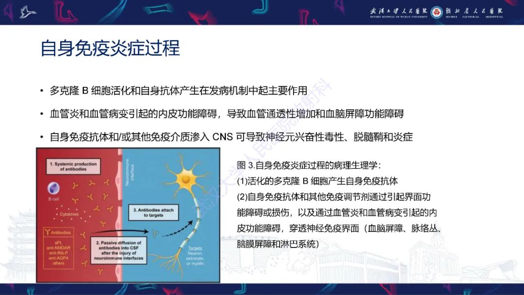 影像PPT - 【PPT】中枢神经系统性红斑狼疮影像诊断-5