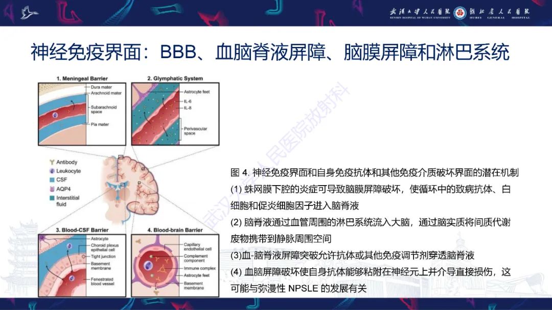 影像PPT - 【PPT】中枢神经系统性红斑狼疮影像诊断-7