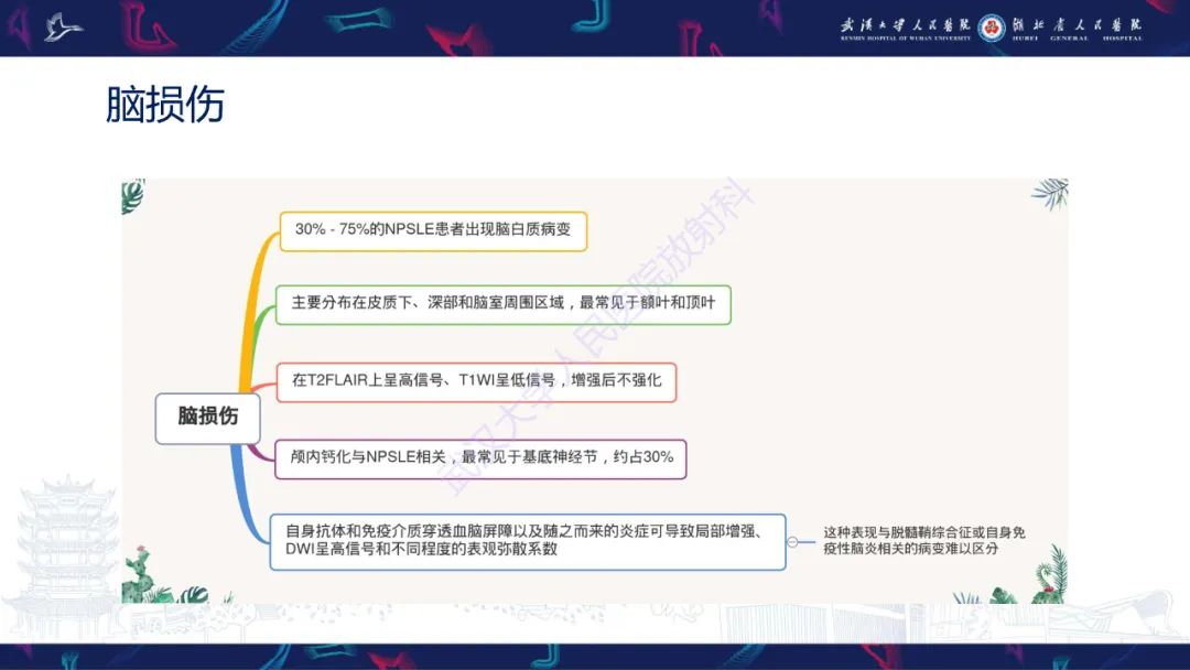 影像PPT - 【PPT】中枢神经系统性红斑狼疮影像诊断-13