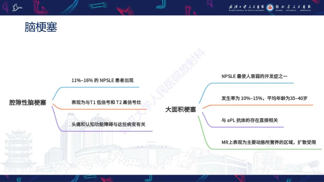 影像PPT - 【PPT】中枢神经系统性红斑狼疮影像诊断-15