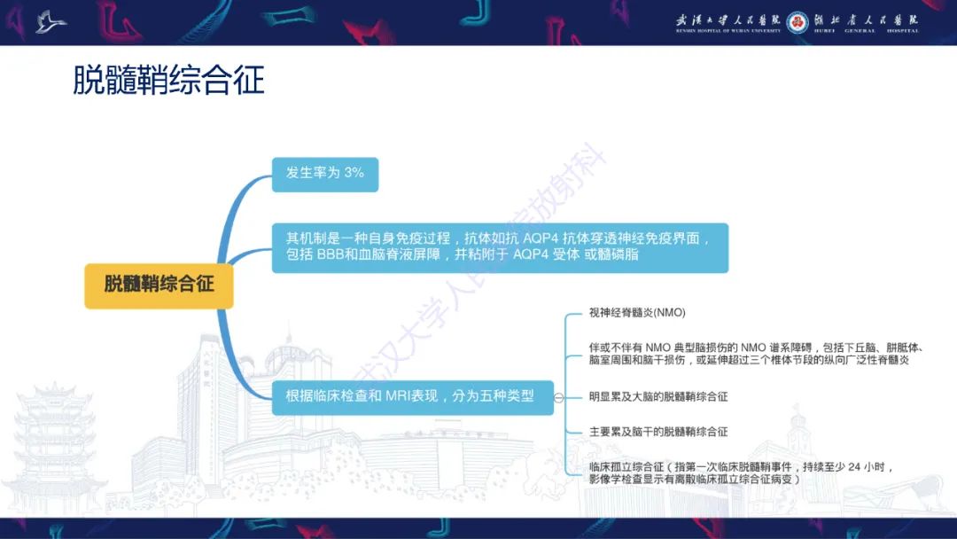 影像PPT - 【PPT】中枢神经系统性红斑狼疮影像诊断-20