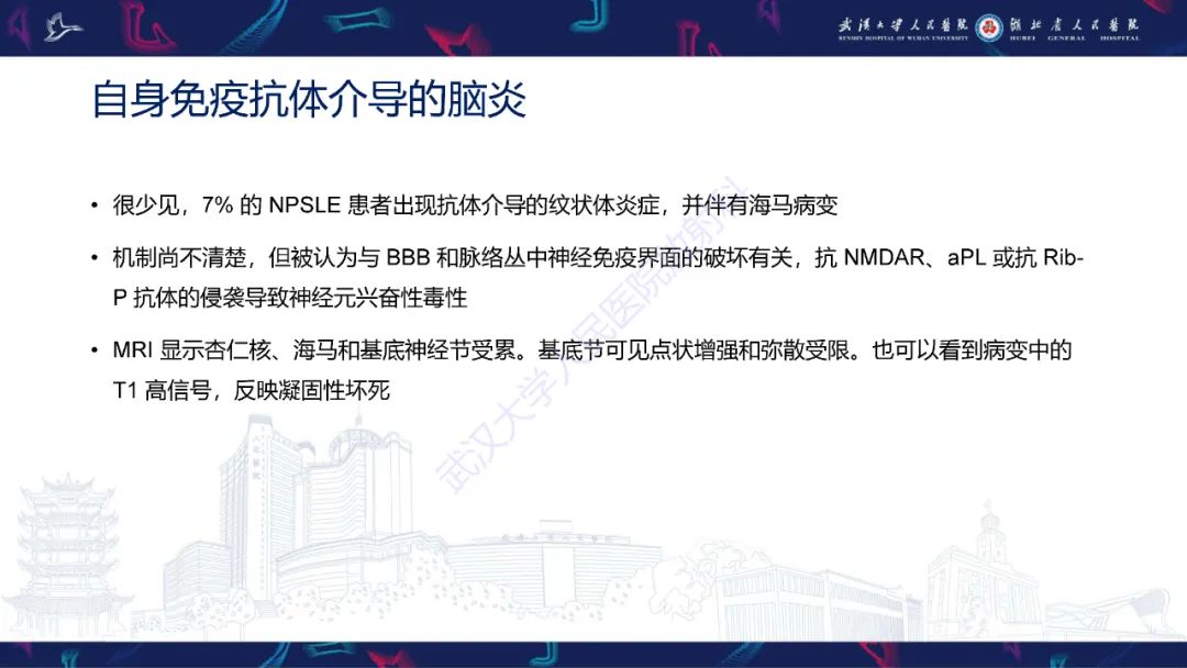影像PPT - 【PPT】中枢神经系统性红斑狼疮影像诊断-24