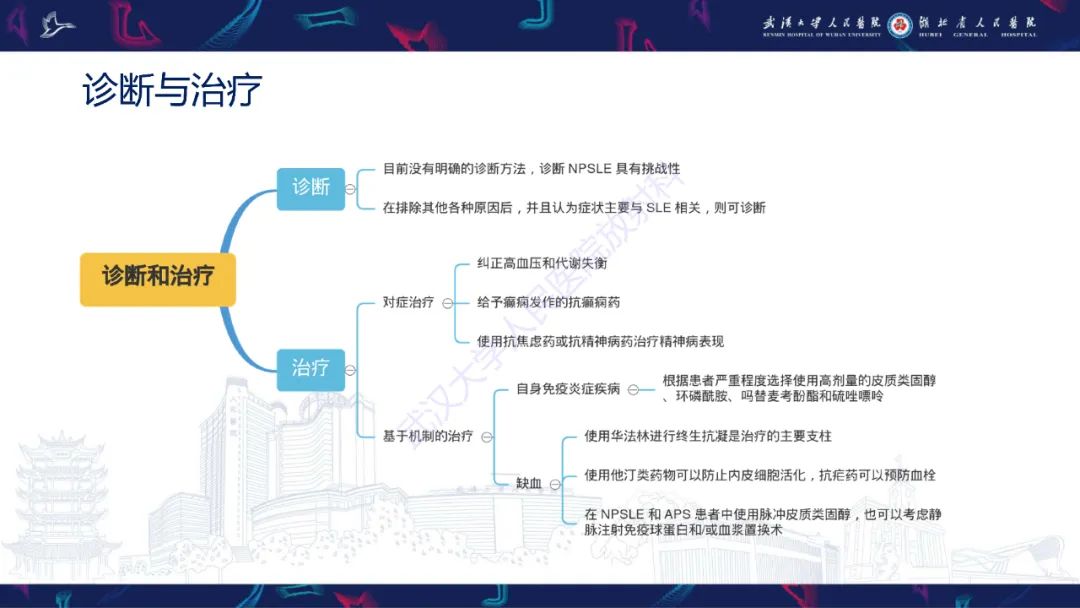 影像PPT - 【PPT】中枢神经系统性红斑狼疮影像诊断-31
