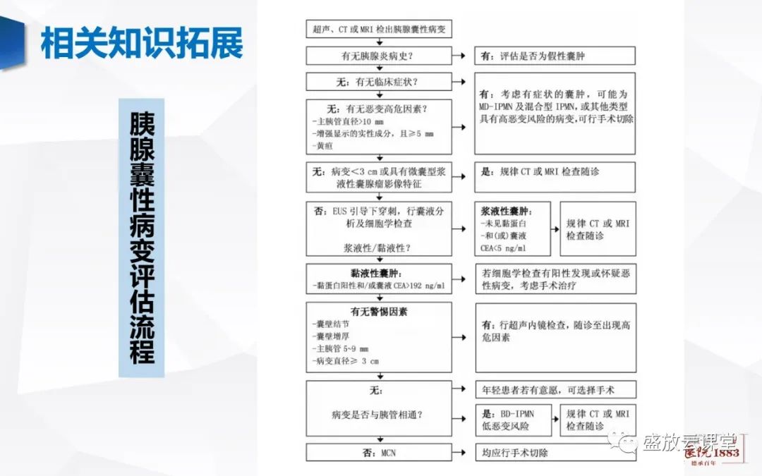 影像PPT - 【病例】胰腺囊腺瘤2例—浆液性 VS 粘液性-27 影像PPT - 【病例】胰腺囊腺瘤2例—浆液性 VS 粘液性-27