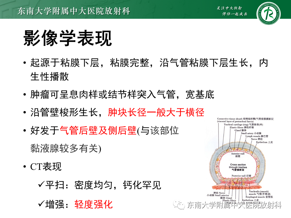 影像PPT - 【PPT】气管腺样囊性癌-12