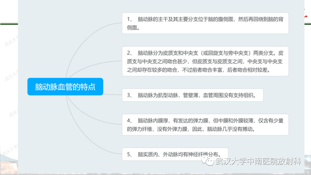 影像PPT - 【PPT】脑梗死的影像学表现-6