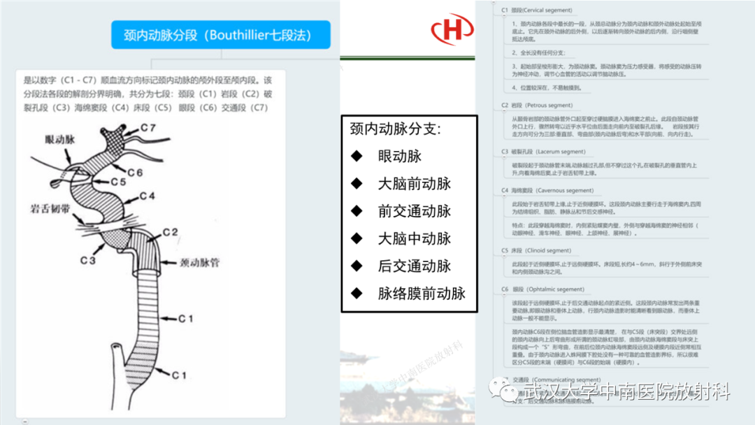 影像PPT - 【PPT】脑梗死的影像学表现-8