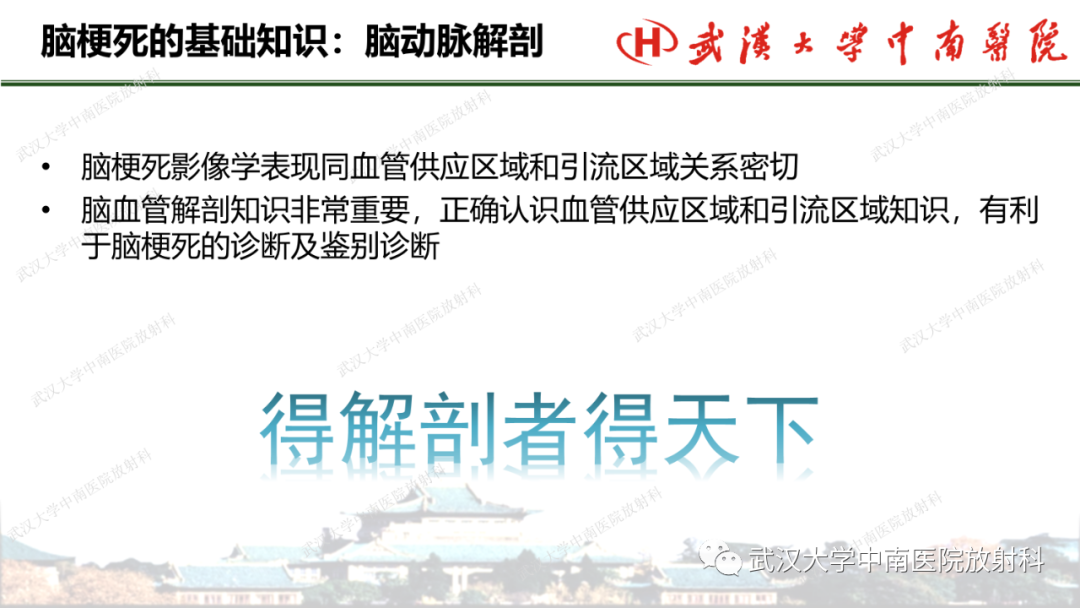 影像PPT - 【PPT】脑梗死的影像学表现-5