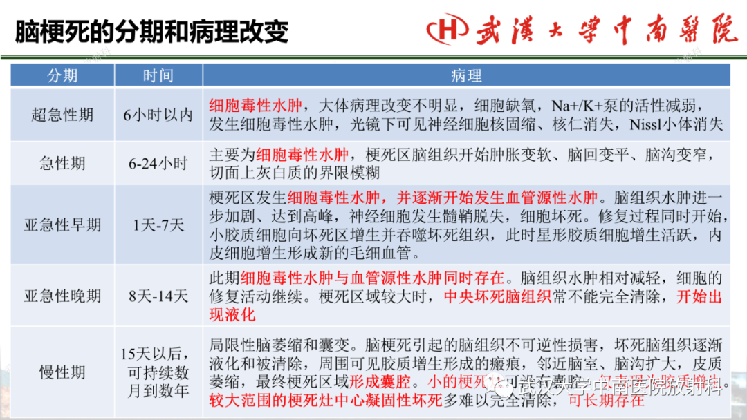 影像PPT - 【PPT】脑梗死的影像学表现-21