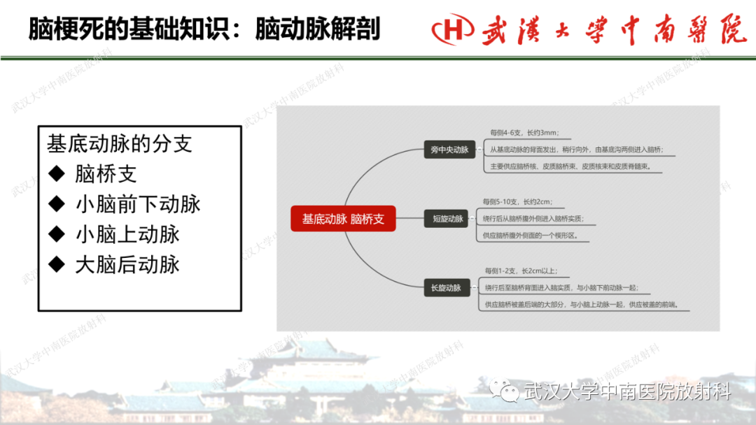 影像PPT - 【PPT】脑梗死的影像学表现-15