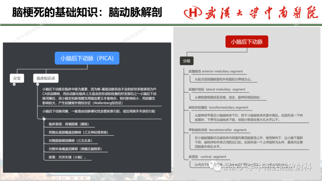影像PPT - 【PPT】脑梗死的影像学表现-13