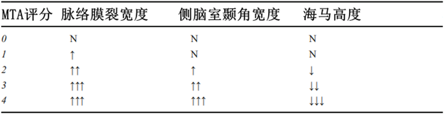 影像PPT - 海马MRI解剖及相关病变的影像表现-18 影像PPT - 海马MRI解剖及相关病变的影像表现-18