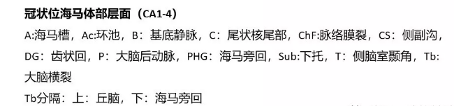 影像PPT - 海马MRI解剖及相关病变的影像表现-4 影像PPT - 海马MRI解剖及相关病变的影像表现-4