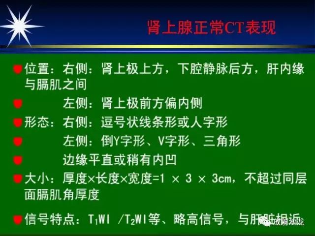 影像PPT - 【PPT】肾上腺影像学诊断-6