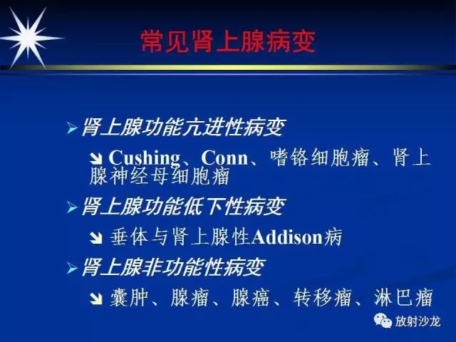 影像PPT - 【PPT】肾上腺影像学诊断-13