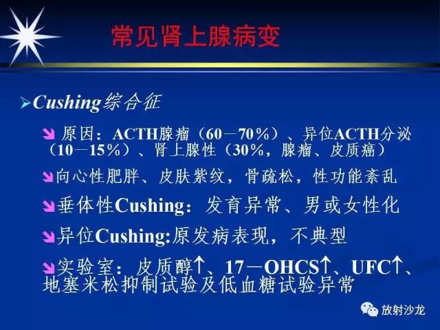 影像PPT - 【PPT】肾上腺影像学诊断-14