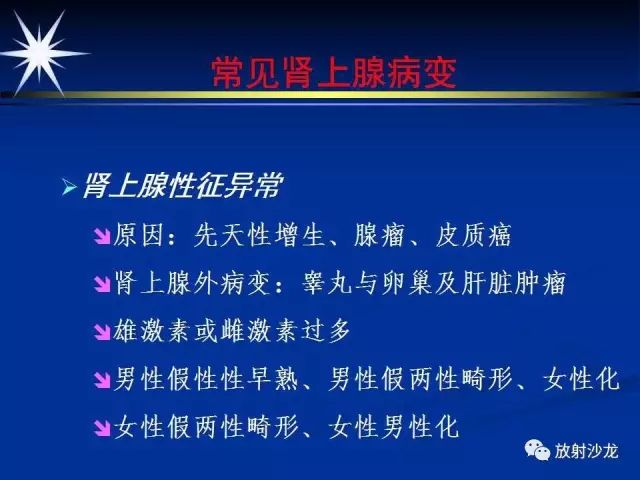 影像PPT - 【PPT】肾上腺影像学诊断-16
