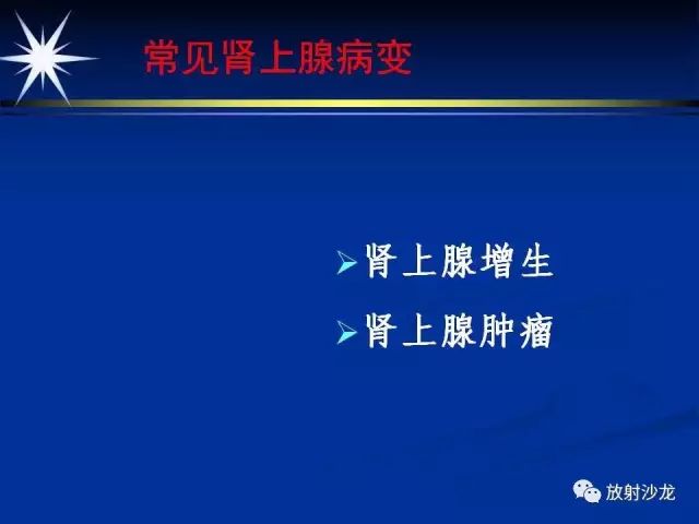 影像PPT - 【PPT】肾上腺影像学诊断-17