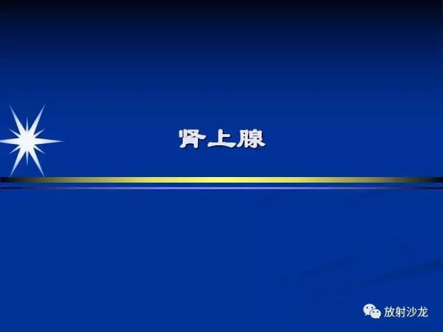 影像PPT - 【PPT】肾上腺影像学诊断-2