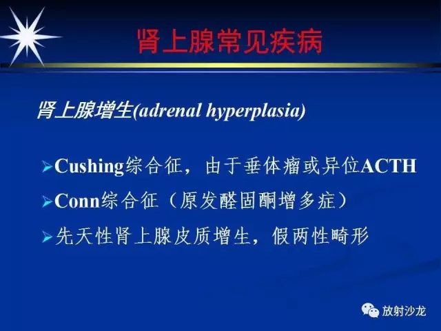 影像PPT - 【PPT】肾上腺影像学诊断-18