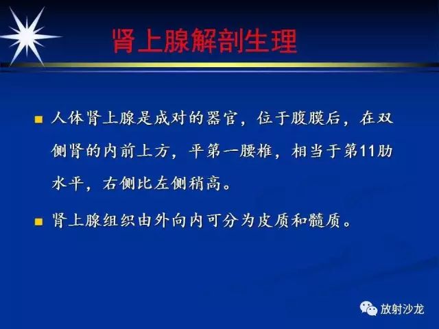 影像PPT - 【PPT】肾上腺影像学诊断-3