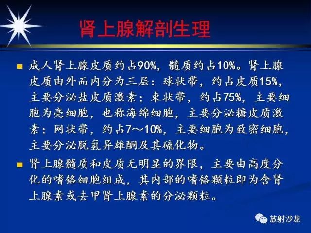 影像PPT - 【PPT】肾上腺影像学诊断-4
