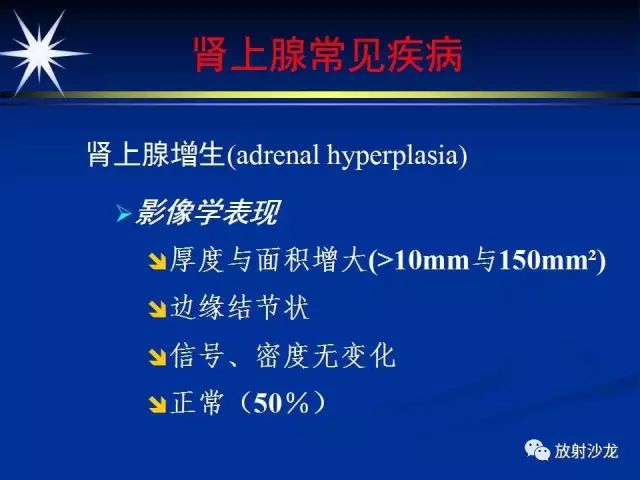影像PPT - 【PPT】肾上腺影像学诊断-19