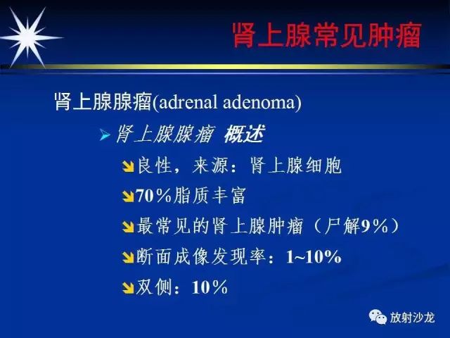 影像PPT - 【PPT】肾上腺影像学诊断-22